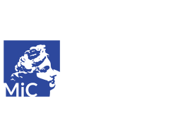 Ministero della cultura